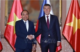 Thứ trưởng Tô Anh Dũng: Mở ra không gian rộng lớn cho quan hệ hợp tác giữa Việt Nam với Romania và Cộng hoà Séc 
