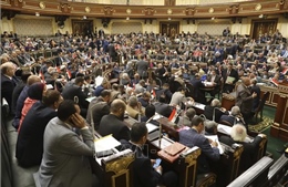 Ai Cập trưng cầu ý dân về sửa đổi Hiến pháp