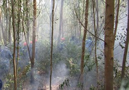 Nhiều vụ cháy rừng tại hai huyện Mường Ảng và Tủa Chùa (Điện Biên)