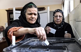 Ai Cập hoàn tất kiểm phiếu tại các điểm bỏ phiếu ở nước ngoài