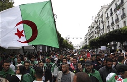 Algeria bắt giữ 5 tỷ phú trong cuộc điều tra chống tham nhũng