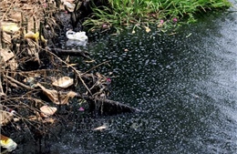 Long An nỗ lực xử lý ô nhiễm trên sông, kênh rạch 