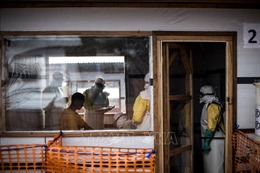 Báo động số người tử vong do dịch Ebola tại CHDC Congo