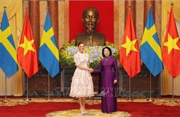 Việt Nam coi trọng thúc đẩy quan hệ hữu nghị truyền thống với Thụy Điển