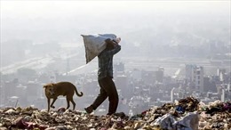 Núi rác tại New Delhi sắp cao hơn 70 mét