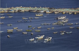 Israel lại thu hẹp vùng cho phép đánh bắt cá ngoài khơi Dải Gaza 