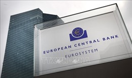 ECB sẽ giữ nguyên lãi suất ở mức thấp kỷ lục 