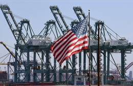 Xuất khẩu của Mỹ sang Trung Quốc lao dốc giữa cuộc chiến thương mại