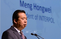 Cựu Chủ tịch Interpol Mạnh Hoành Vĩ nhận án tù 13,5 năm 