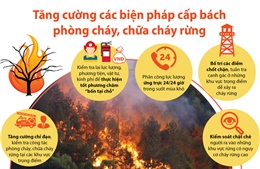 Tăng cường các biện pháp cấp bách phòng cháy, chữa cháy rừng