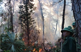 Cháy rừng tiếp tục xảy ra tại nhiều địa phương của Hà Tĩnh