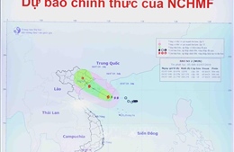 Quảng Ninh dừng cấp phép các tàu chở khách ra đảo từ 11 giờ ngày 3/7