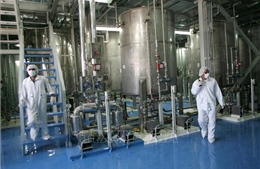 IAEA: Iran làm giàu urani lên mức 4,5% 