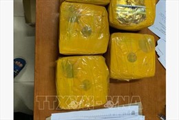 Triệt phá đường dây mua bán ma túy số lượng lớn từ Điện Biên về Hà Nội