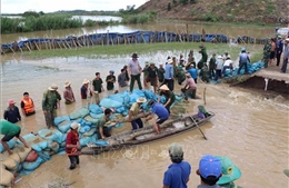 Lực lượng vũ trang cùng người dân hộ đê cứu lúa