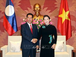 Không ngừng củng cố và phát triển quan hệ Việt Nam - Lào