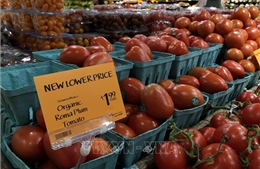 Mỹ và Mexico đạt thỏa thuận chấm dứt tranh cãi về áp thuế cà chua