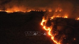 Brazil cân nhắc cử quân đội tới hỗ trợ chữa cháy rừng Amazon