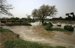 54 người thiệt mạng do mưa lũ hoành hành ở Sudan