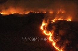 Hàng trăm đám cháy mới tại rừng mưa Amazon ở Brazil