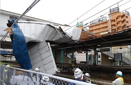 Bão Faxai quét qua Tokyo, ít nhất 43 người thương vong