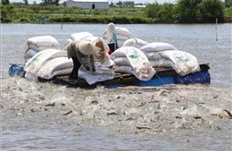 Tăng cạnh tranh cho thủy sản Việt Nam - Bài 1: Giải bài toán nguyên liệu