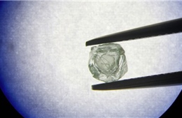 Phát hiện viên kim cương &#39;búp bê gỗ&#39; 800 triệu năm tuổi độc nhất vô nhị