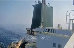 Nổ tàu chở dầu Iran: Nguy cơ dầu tràn gây ô nhiễm Biển Đỏ nghiêm trọng