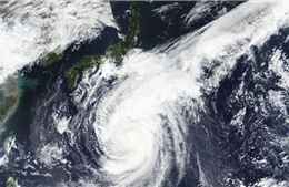 Nhật Bản chuẩn bị ứng phó với hai cơn bão sau siêu bão Hagibis