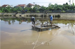 Xử lý việc Công ty Cổ phần Cấp nước Nghệ An xả bùn thải ra hồ Cửa Nam