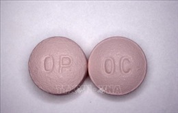 Các hãng dược phẩm Mỹ chi bộn tiền dàn xếp bê bối thuốc giảm đau opioid