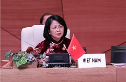 Việt Nam luôn kiên trì các nguyên tắc và mục tiêu của Phong trào Không liên kết