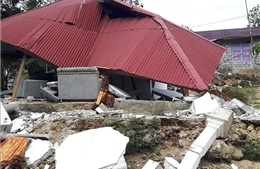 Động đất có độ lớn 7,1 làm rung chuyển Indonesia