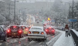 Tuyết rơi dày ở miền Đông Nam nước Pháp gây thiệt hại nặng