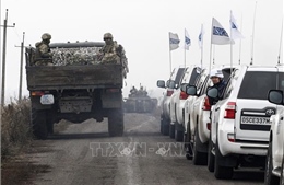 Nga hoan nghênh việc rút quân ở Ukraine