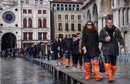 Ban bố tình trạng khẩn cấp tại Venice