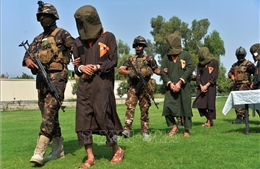 Afghanistan hoãn trao đổi tù nhân với Taliban