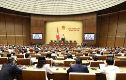Ngày 21/11, Quốc hội thảo luận hai dự án Luật 