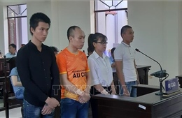 Tuyên phạt tù bốn nhân viên Công ty cổ phần địa ốc Alibaba gây rối
