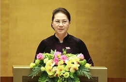 Vai trò của Quốc hội Việt Nam trong cải cách thể chế, đáp ứng yêu cầu đổi mới và hội nhập 