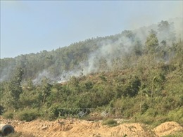 Đã dập tắt đám cháy rừng ở Kinh Môn, Hải Dương