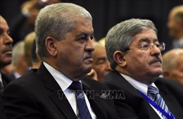 Hai cựu thủ tướng Algeriabị kết án tù vì tham nhũng
