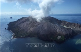 Núi lửa phun trào ở New Zealand: 6 người thiệt mạng, 8 người mất tích