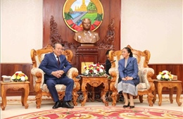 Phó Thủ tướng Trương Hòa Bình chào xã giao Chủ tịch Quốc hội Lào 