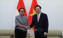 Mối quan hệ hữu nghị truyền thống Việt Nam và Indonesia đang phát triển mạnh mẽ
