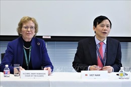 Việt Nam chủ trì họp Ủy ban ASEAN tại Liên hợp quốc