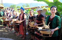 Lễ hội Mừng lúa mới được đưa vào Danh mục di sản văn hóa phi vật thể quốc gia