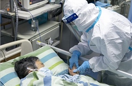 Trung Quốc: 36.690 ca mắc, 803 người tử vong do nhiễm chủng mới của virus Corona