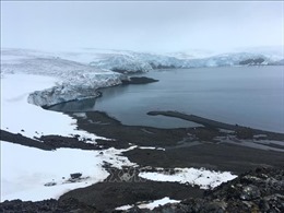 Tan băng ở Nam Cực có thể đẩy mực nước biển lên mức &#39;thảm họa&#39;