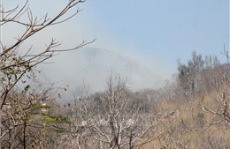 Bà Rịa-Vũng Tàu: Cháy rừng lan nhanh trên núi Minh Đạm